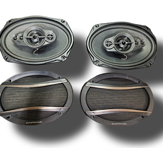 2*Blurred Vision Audio BV-6954-5 Way