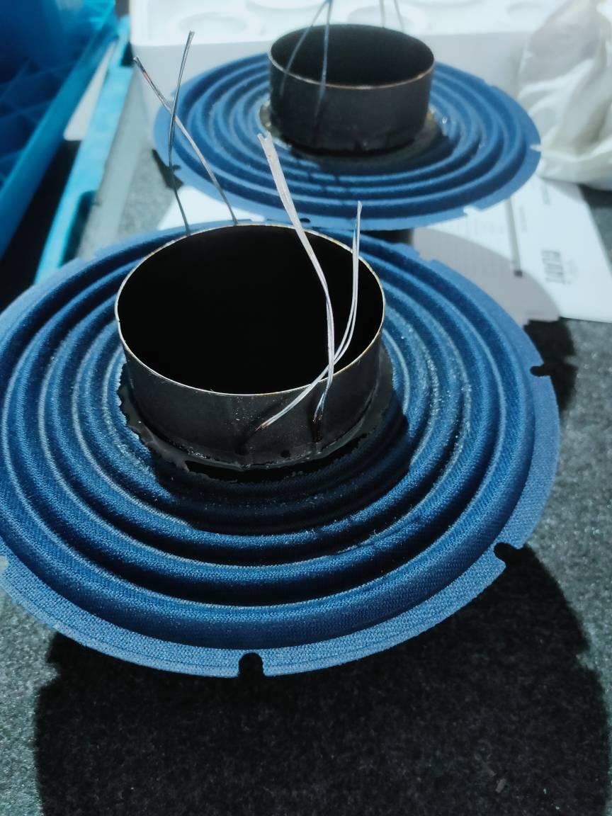 Blurred Vision Audio Competition BV-DoubleVision 12.4.D1