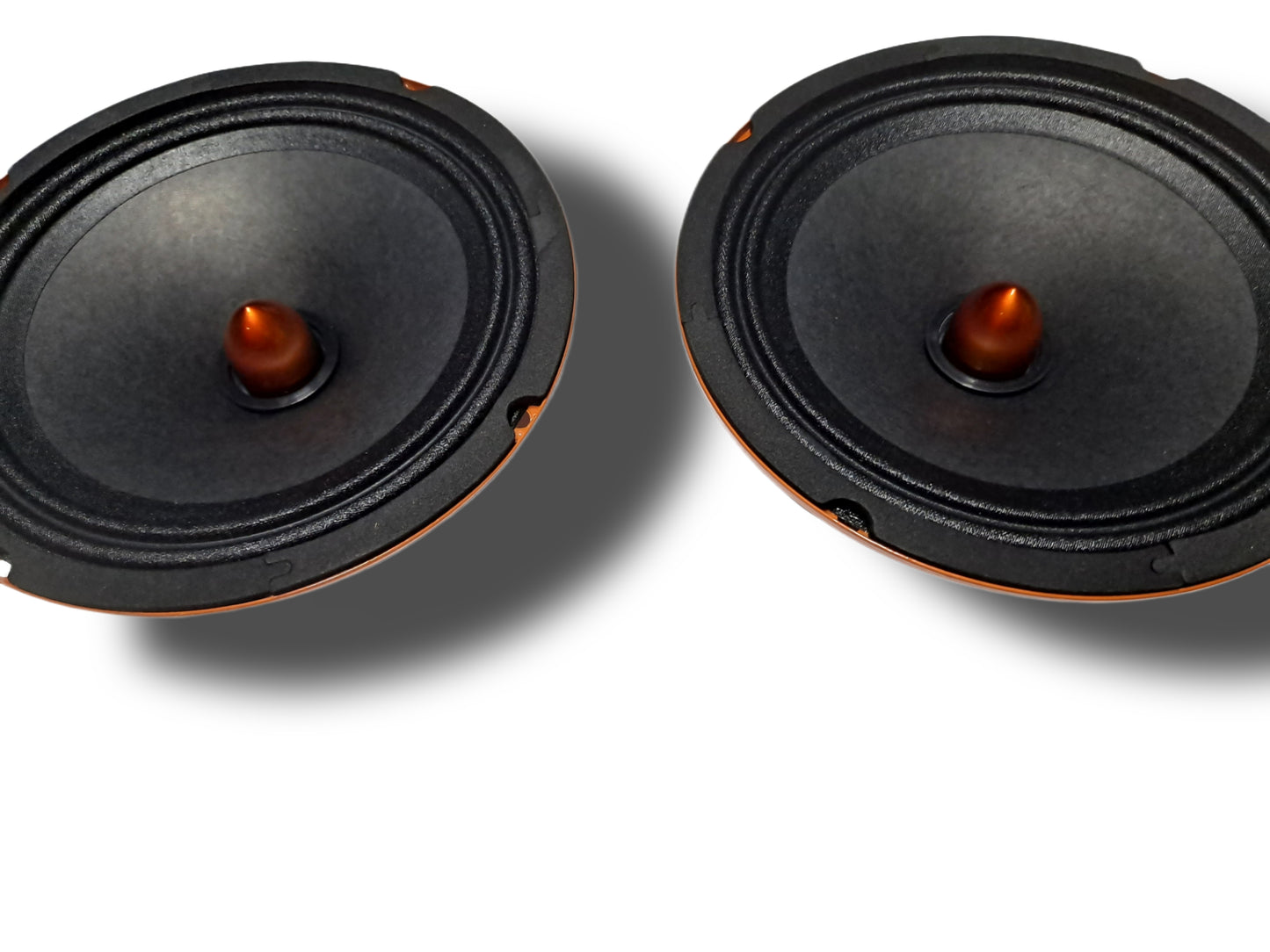 2*Blurred Vision Audio BV-PRO50-6.5.4 LOUDSPEAKERS