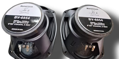 4*Blurred Vision Audio BV-6954-5 Way