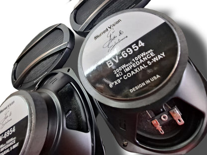 4*Blurred Vision Audio BV-6954-5 Way