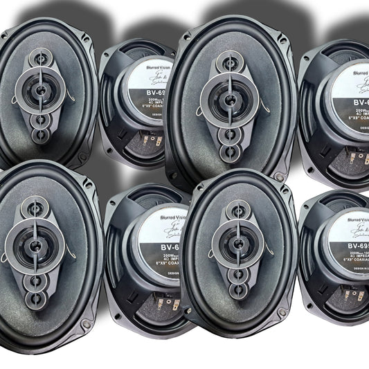 4*Blurred Vision Audio BV-6954-5 Way