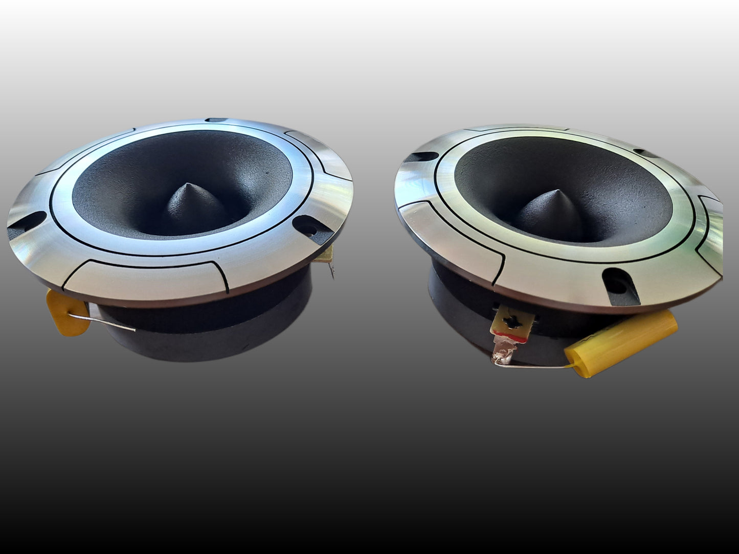 2*Blurred Vision Audio BV-PAST-4.8 Pro Audio Super Tweeters