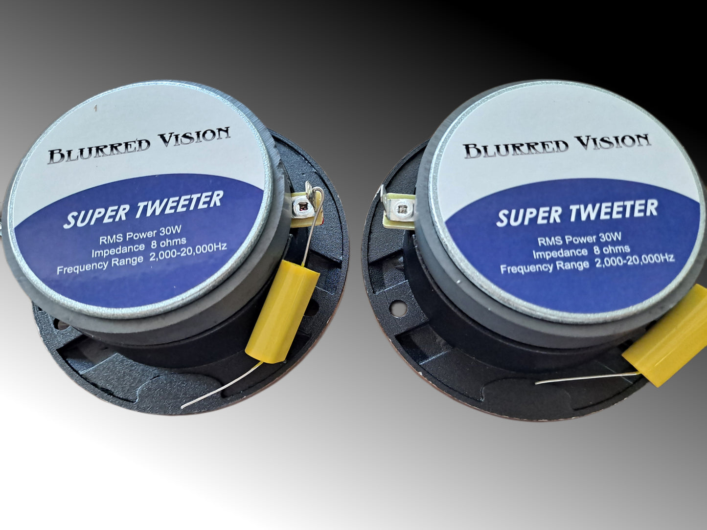 2*Blurred Vision Audio BV-PAST-4.8 Pro Audio Super Tweeters