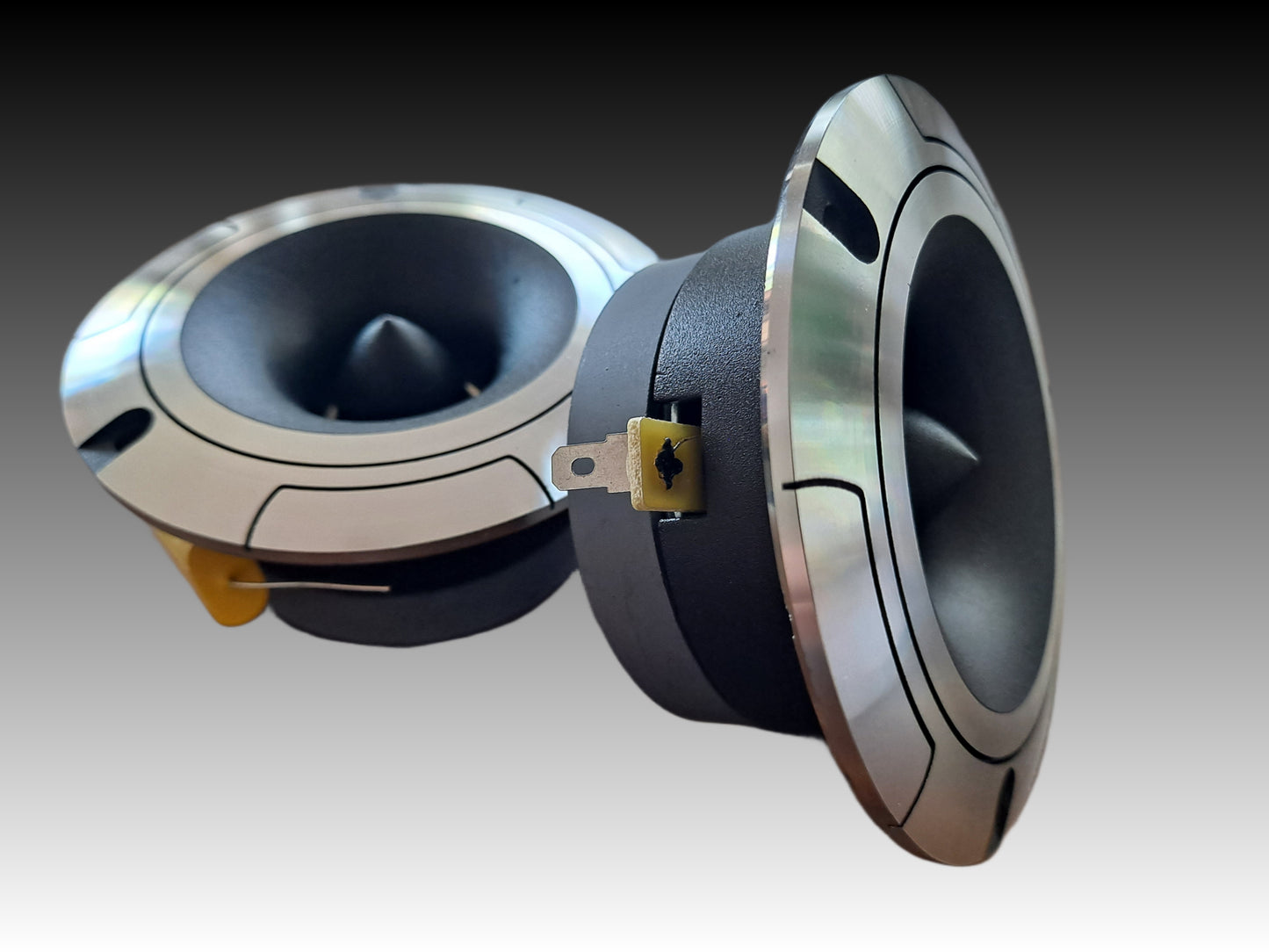 2*Blurred Vision Audio BV-PAST-4.8 Pro Audio Super Tweeters