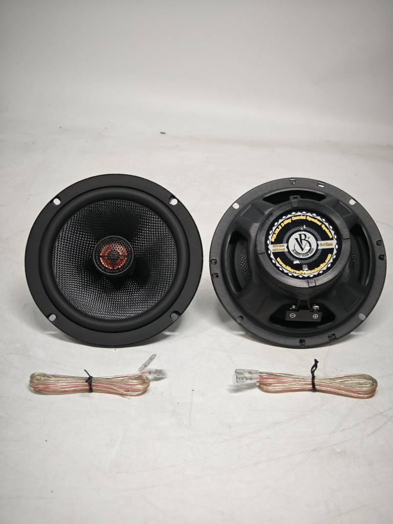 Blurred Vision Audio – 6.5" SQLX Coaxial Speakers